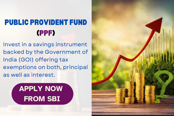 PPF INVESTMENT & CALCULATOR