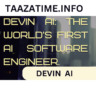 introducing devin